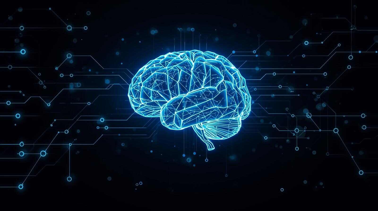 ホログラムの脳の画像